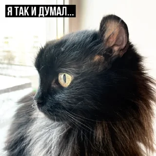 😒