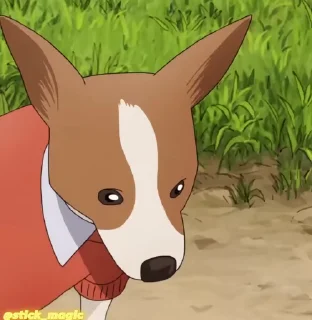 🐶