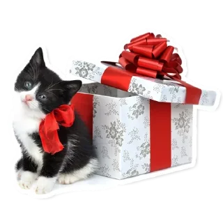 🎁