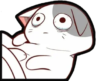 🐈
