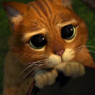 🥺