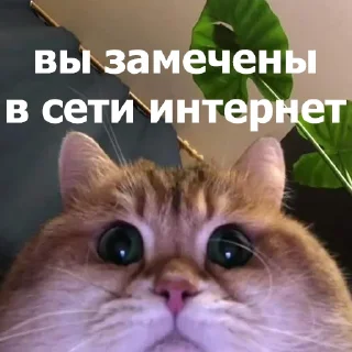 😐
