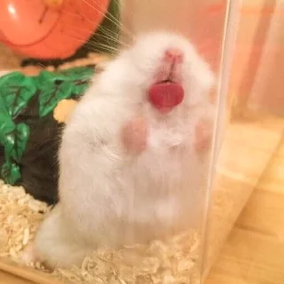 😛