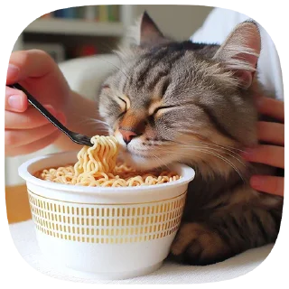 😼
