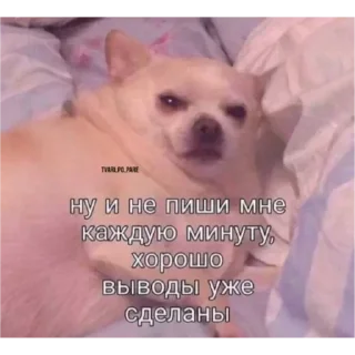 🤨