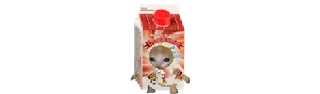 🧃