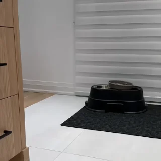🐶