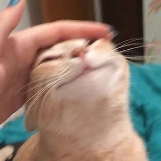 ☺️