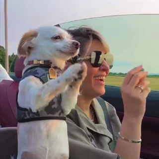 😍
