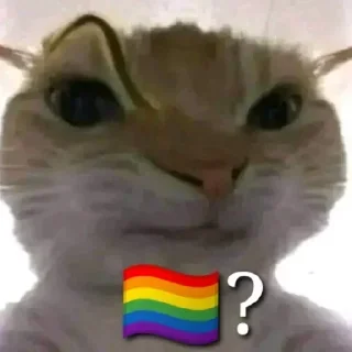 🏳️‍🌈