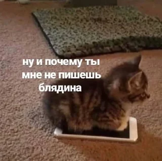 😡