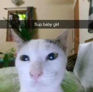 🌟