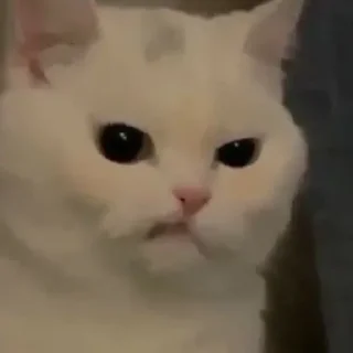 ☹️