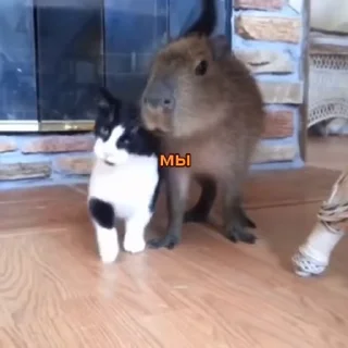 🥰