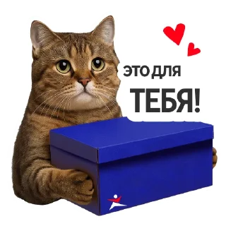 💝