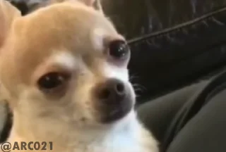 🥺