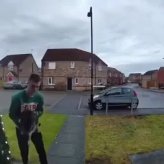 🐈