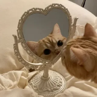 🐈