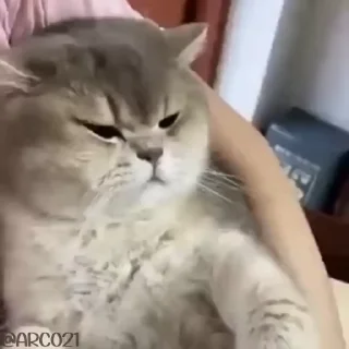 😒