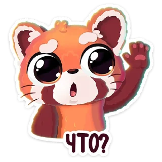 ❓