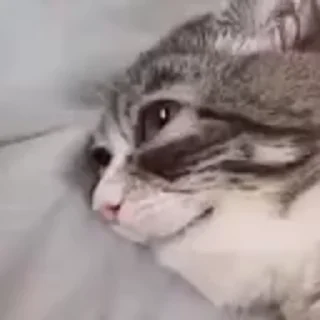 😵