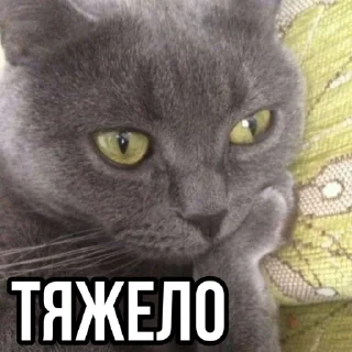 🫠