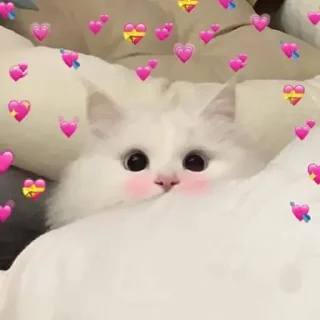 💖