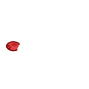 404