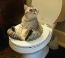 😐