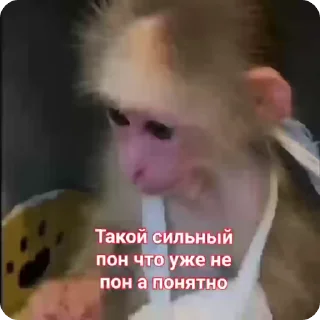 🌟