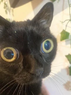 😐
