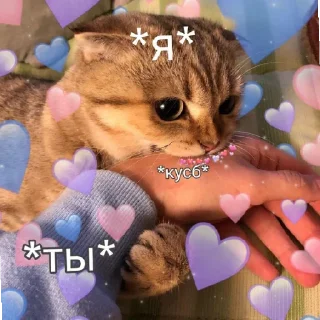 👄