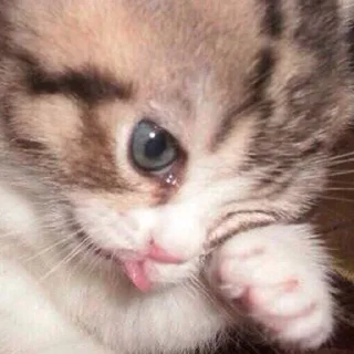😢