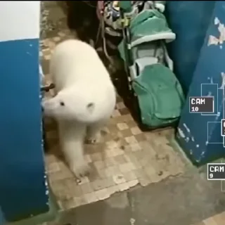 😱