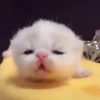 👿