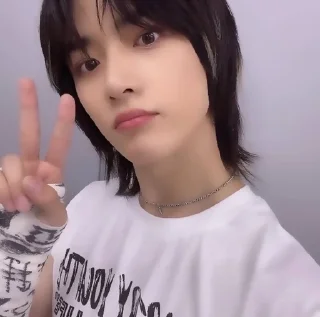 🐻