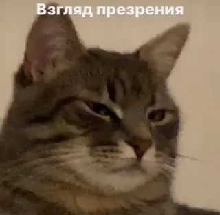 😑