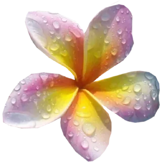 🌸