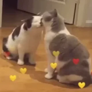 ❤️