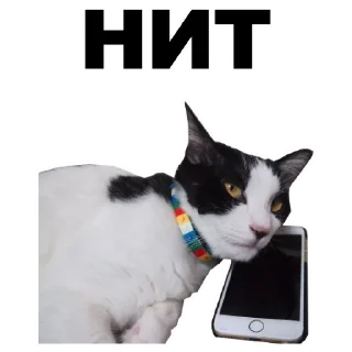 👎