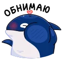 🦈