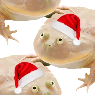 🎄