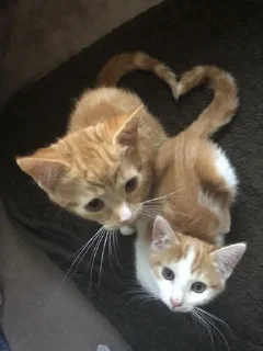 ❤️