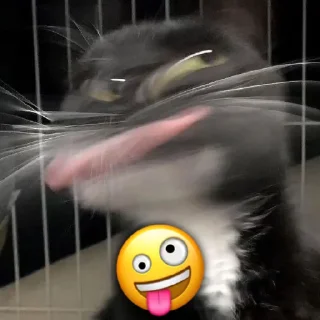 🤪