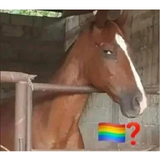 🏳️‍🌈