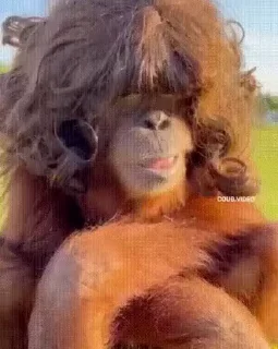 👄