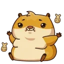 🍪