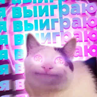 😇