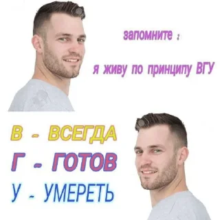🫡