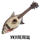 🐡
